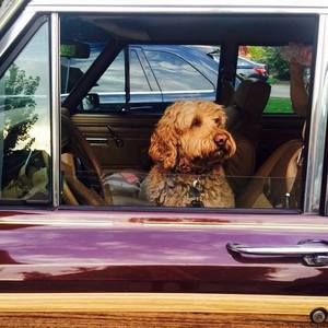 Meet your Posher, Jamie